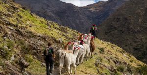 «مسیری جدید» برای زندگی خوب
