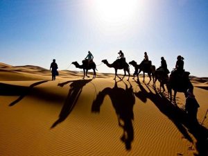 گردشگری کسب و کار ۹۰ درصد مردم «مصر» اصفهان